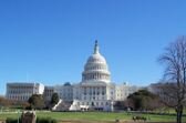 Government